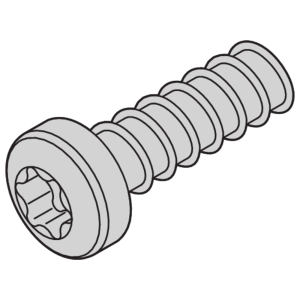 SCREW TORX 2.5X7.3 (100PCS)
