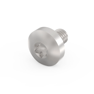 Panhead Screw, Torx, Steel Nickel Plated (Each)